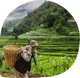 about image